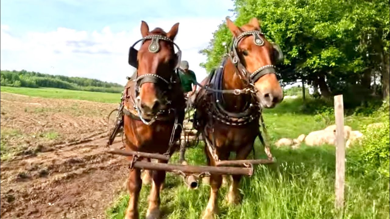 DUKE & EARL'S FIRST TIME WORKING TOGETHER!!! #641