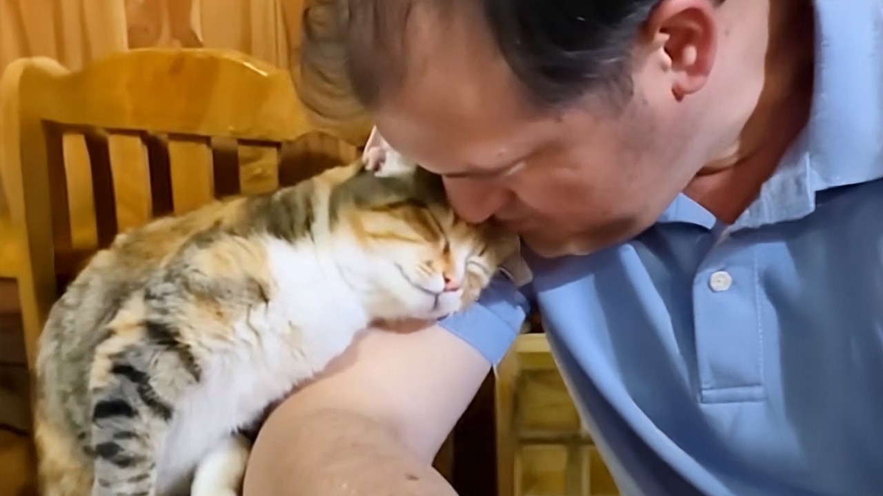 Dad Never Wanted a Cat But, Now They Do Everything Together 😹
