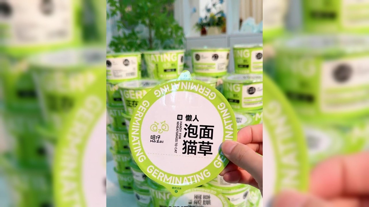 Cat Grass Planter Kit Paper Cup Filling and Sealing Machine #automaticpacking #cupsealer