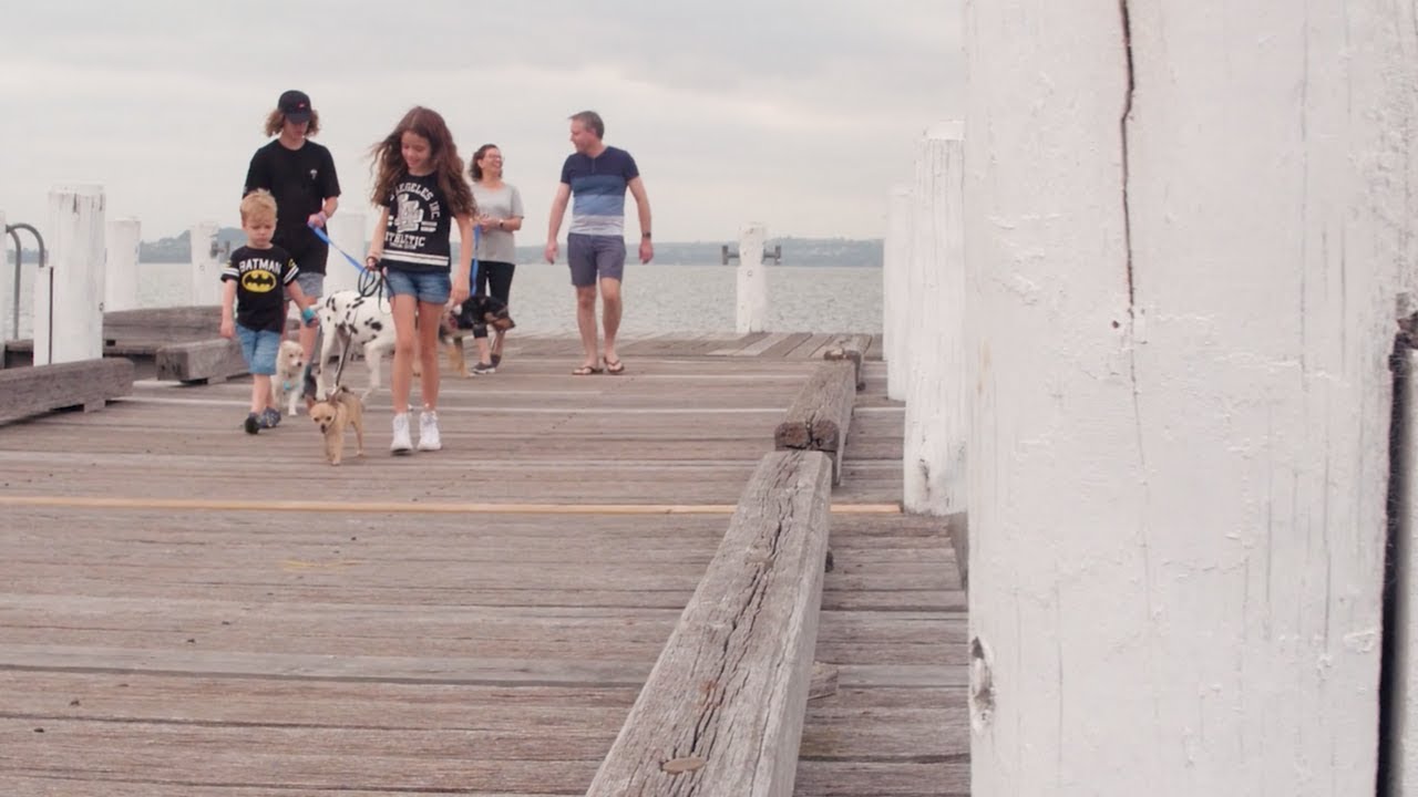 Why we love to help you care for your family pets - Companion Animal Vets