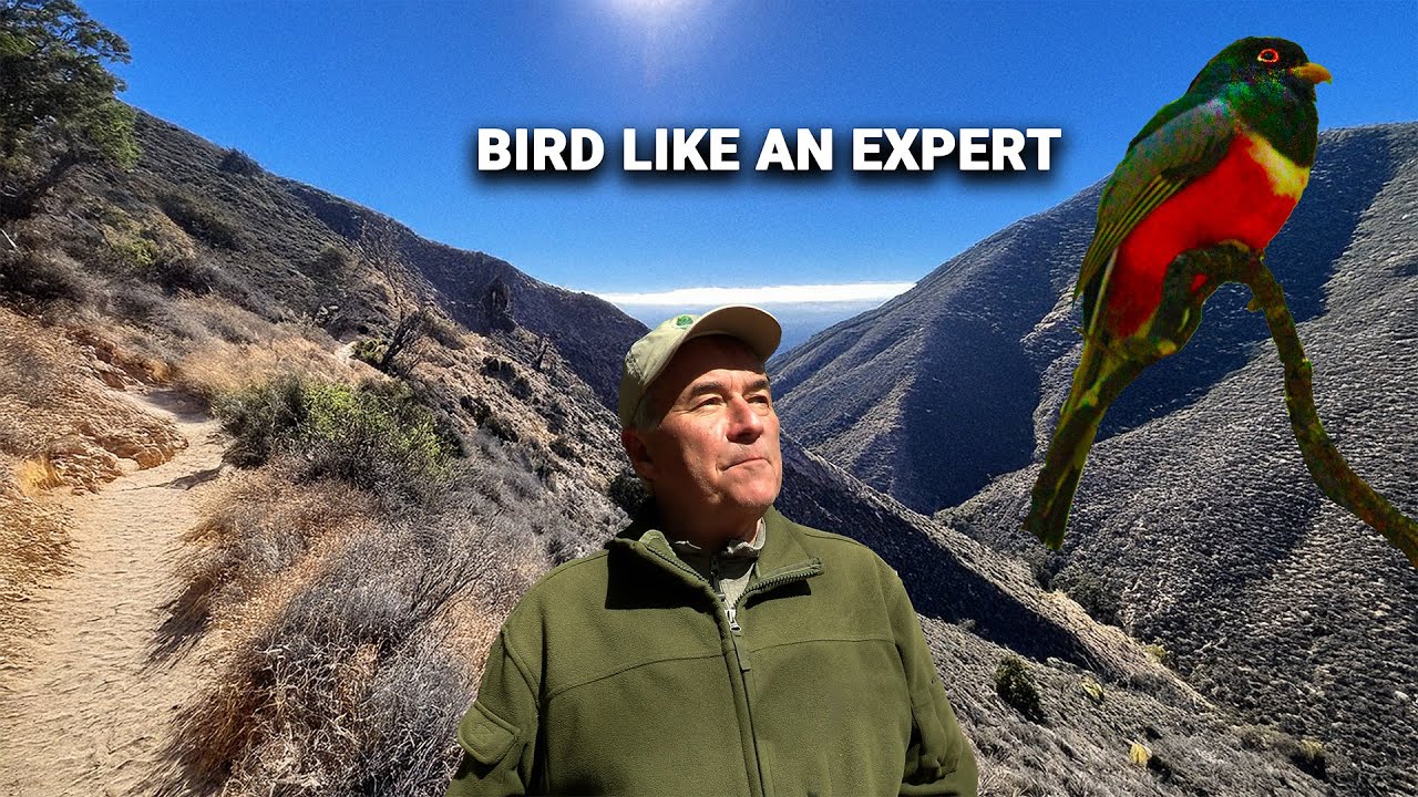 How To Raise Your Birding Skills To The Next Level.