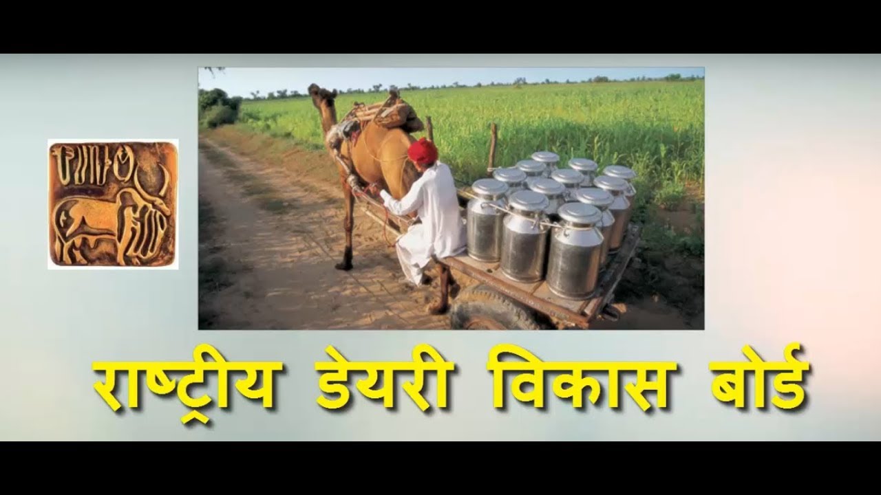 What is NDDB ? Work of NDDB - राष्ट्रीय डेयरी विकास बोर्ड (एनडीडीबी)
