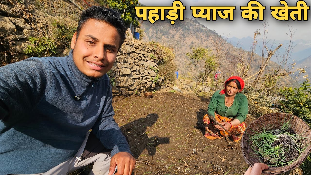 पहाड़ों में प्याज लगाने का तरीका | Onion cultivation in hilly area | village lifestyle | RTK Vlogs 