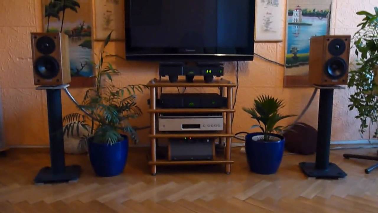 Naim 5i + Dynaudio Contour 1.1