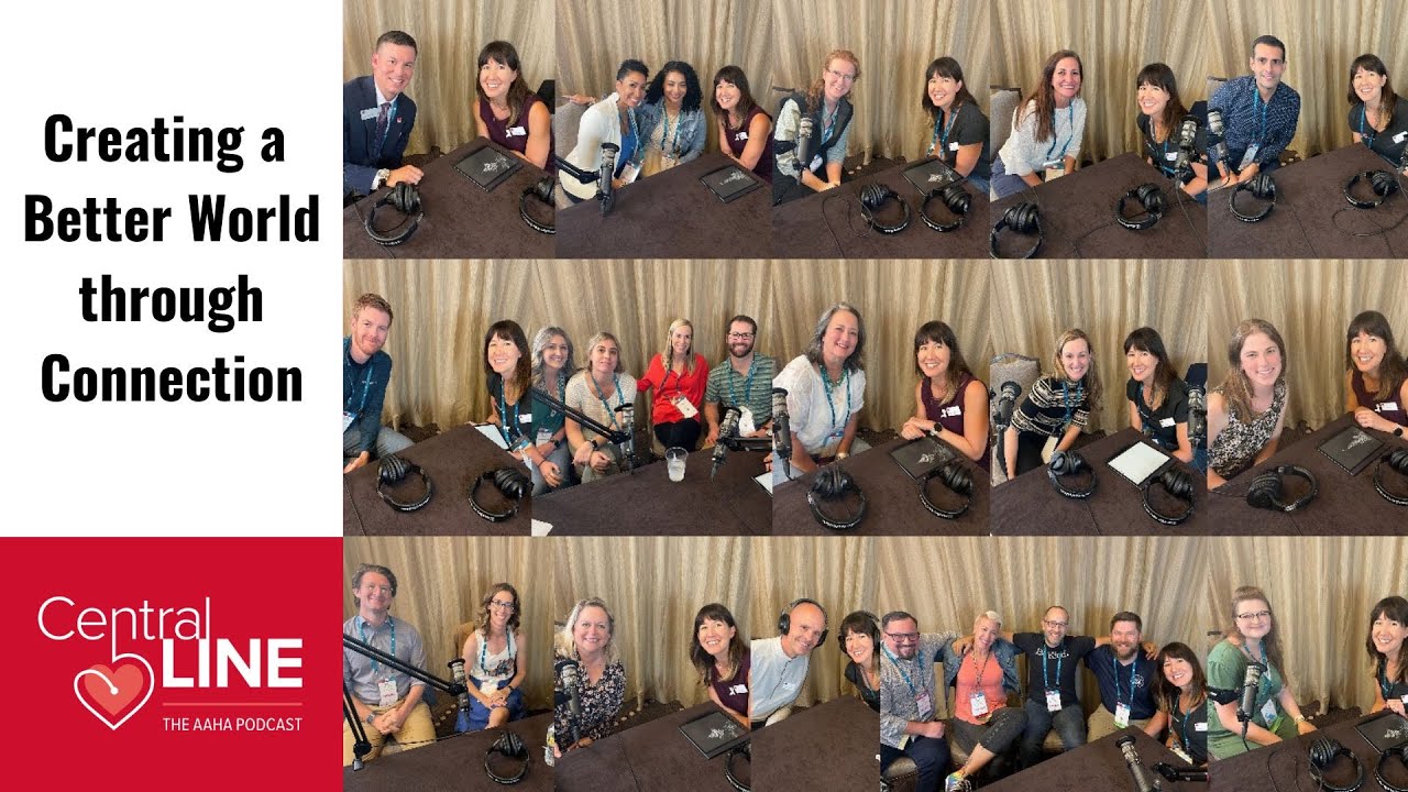 Creating a Better World through Connection with the Changemakers of Veterinary Medicine
