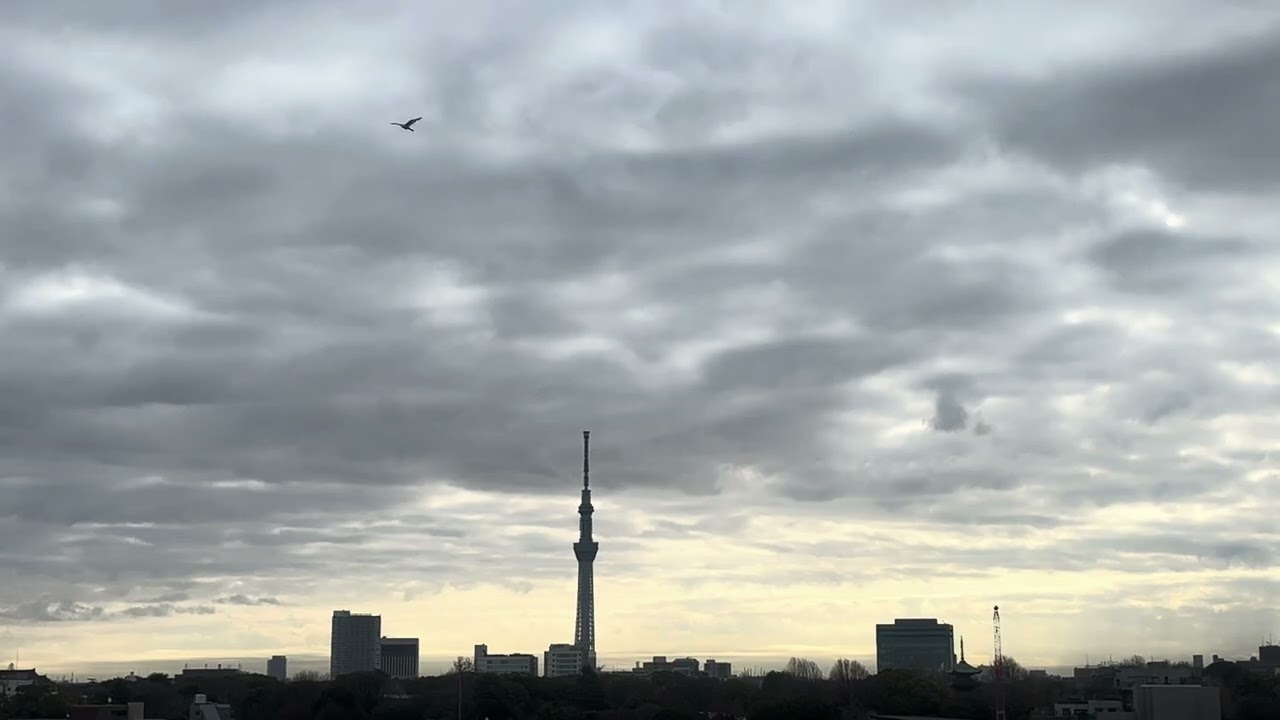 Tokyo Morning Sky under Heavy Clouds | 2026.02.20東京の重たい朝