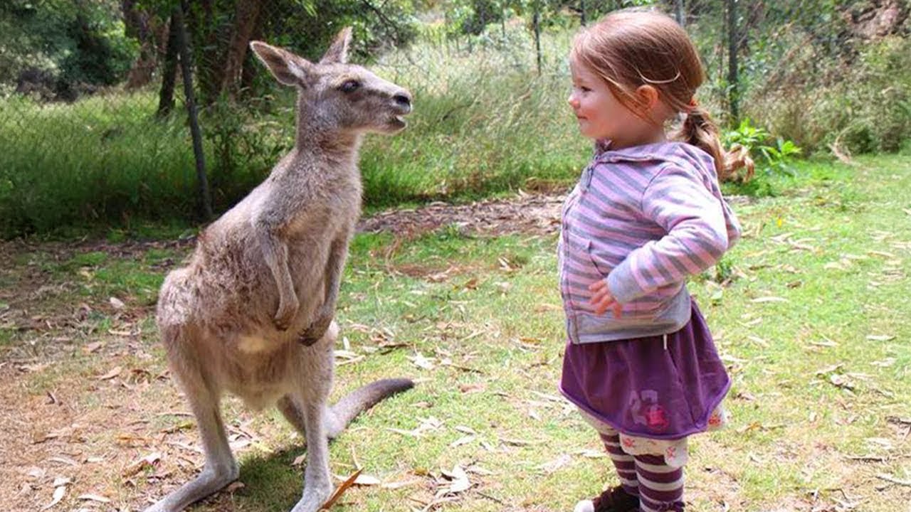Cutest Baby and Animal Moments In the World! 🥰
