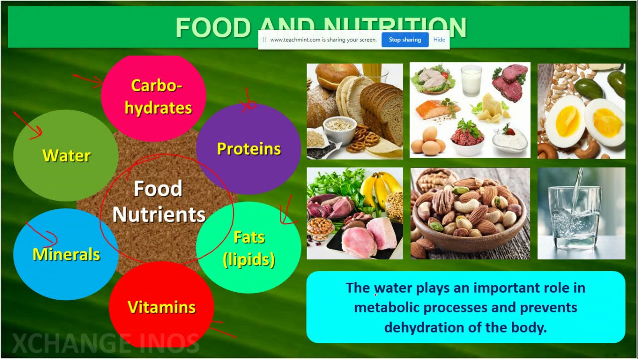 INTRODUCTION TO DIGESTION   | CLASS11 | XCHANGE INOS | S.SONI SIR
