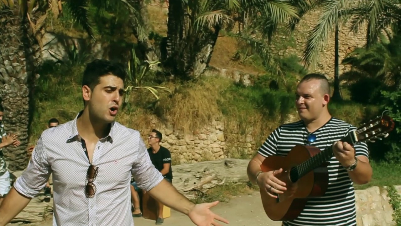 Elche Sol y Palmeras - Ilirecords