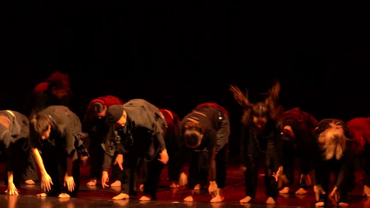 Animal flow //  coreografía Nati Ferreira