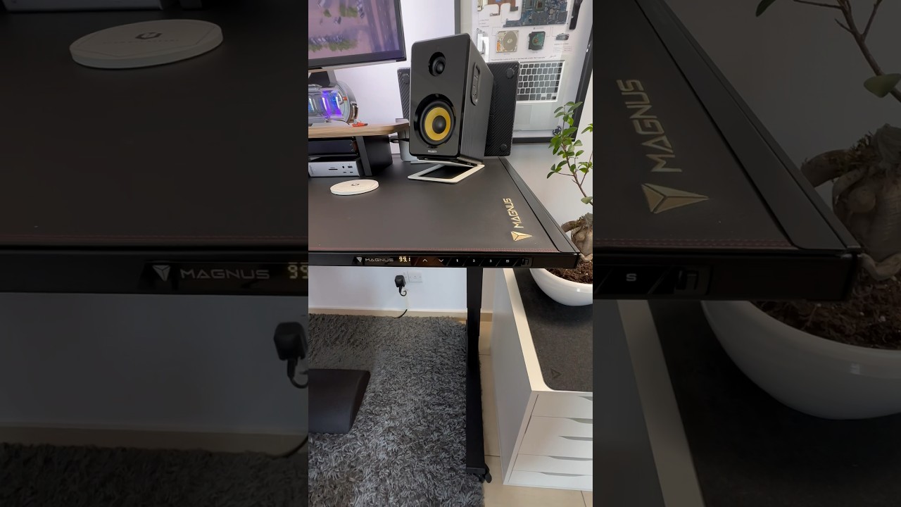 Magnus Pro XL by 