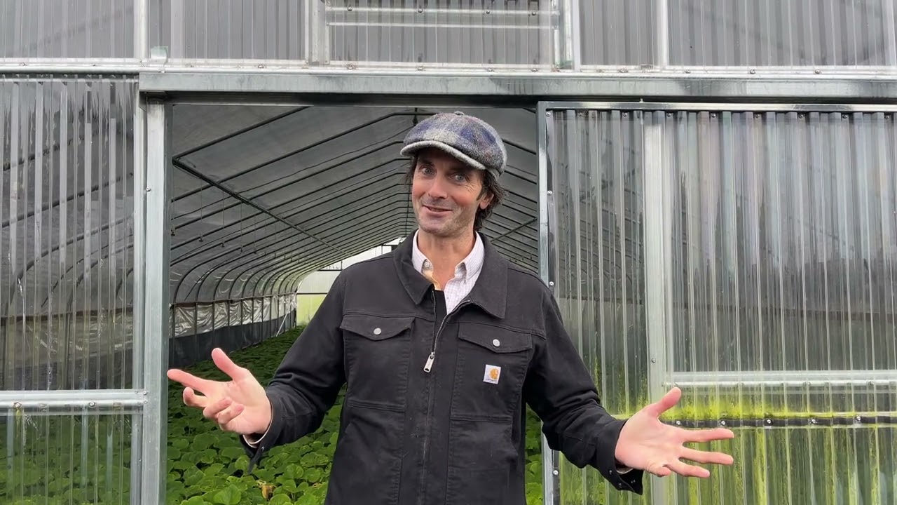 Plant Care Consultations For Your Garden or Pots or Hydroponic Setup