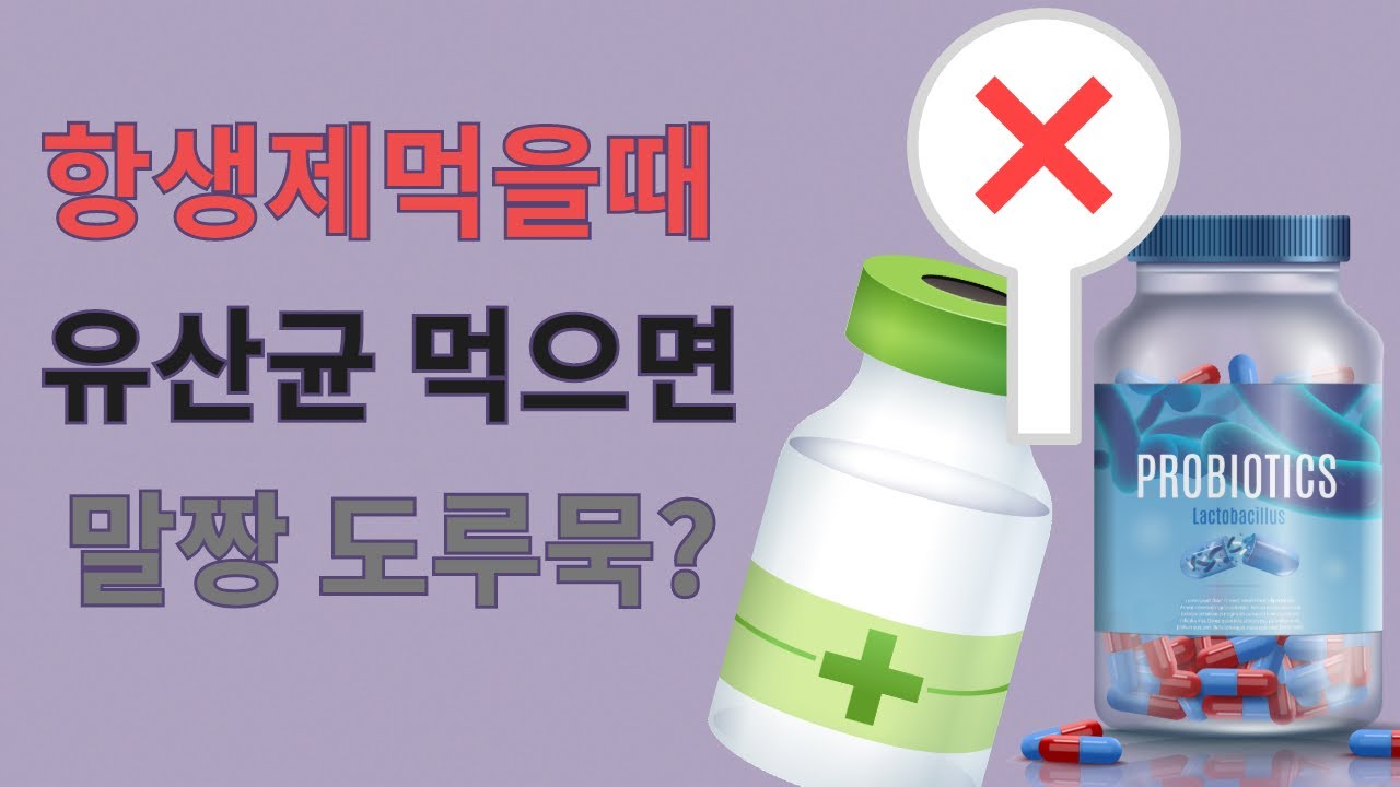 유산균은 항생제 먹을때 끊어야 하나요? 항생제 드실때 이 4가지 안 챙겨드시면 면역력 손실이 확 커집니다.