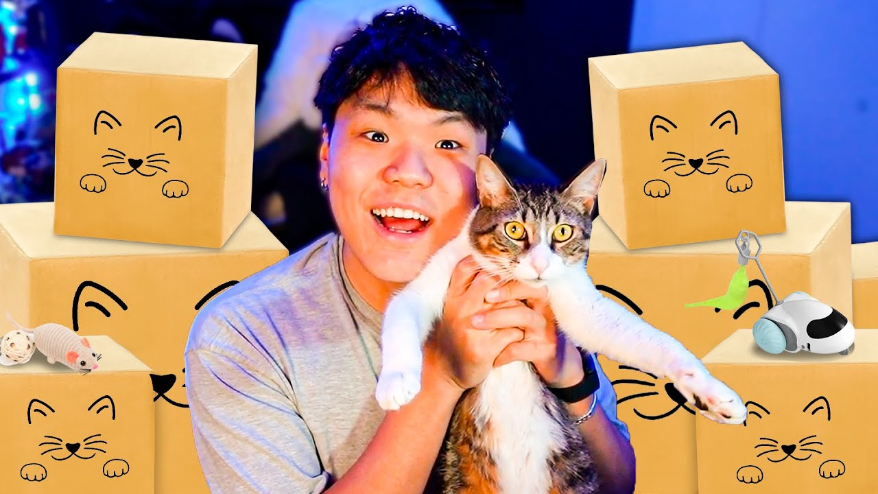 Compr&eacute; Muchos JUGUETES para mi GATO 🐱