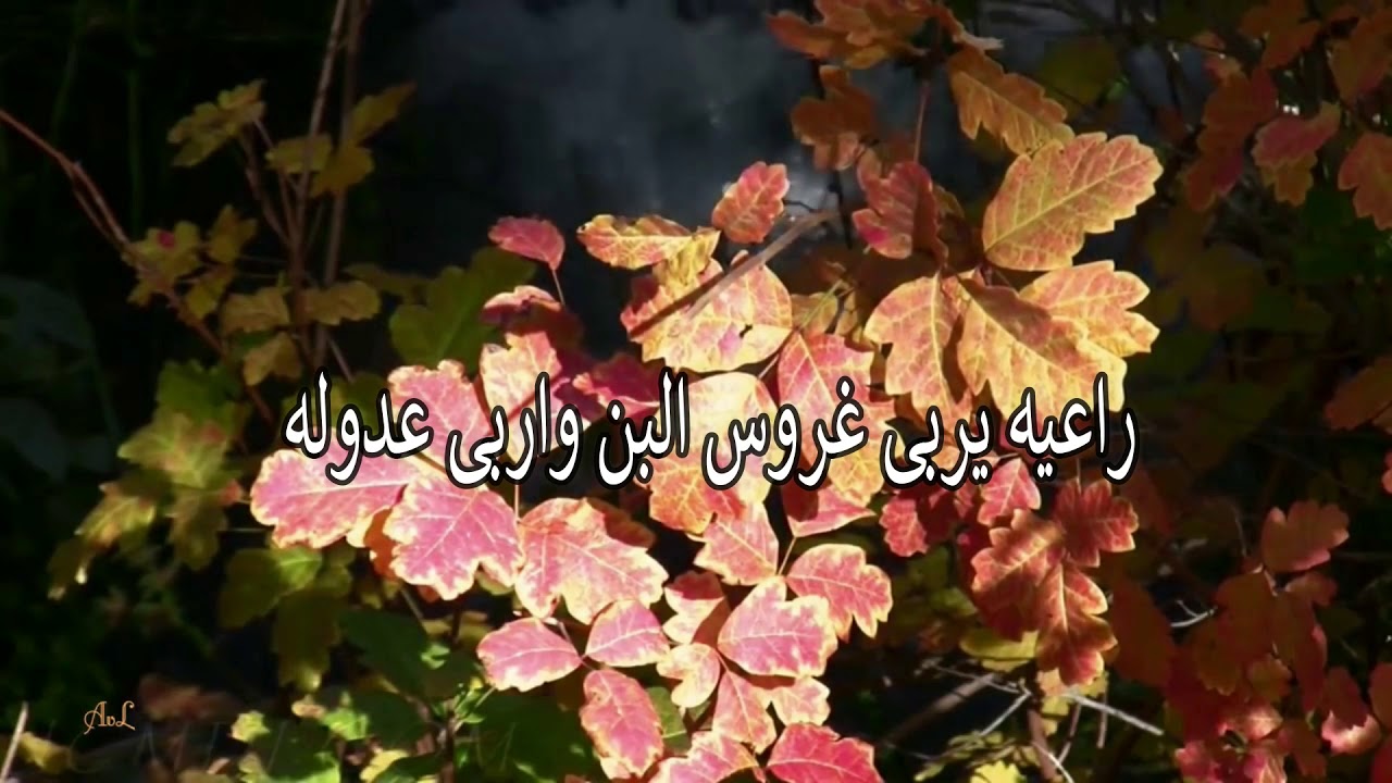 قال البراق ما للستر والعافية أشباه