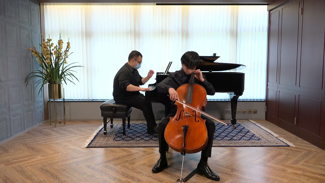 Shostakovich cello concerto no.1 in E flat major I. Allegretto