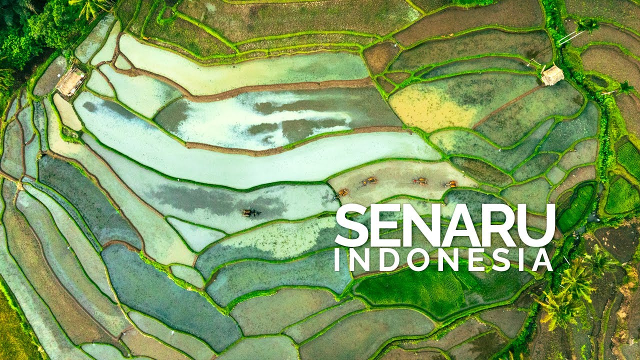 Exploring Beyond Rinjani : Senaru Village, Tiu Kelep Waterfall, Rice Fields - Indonesia