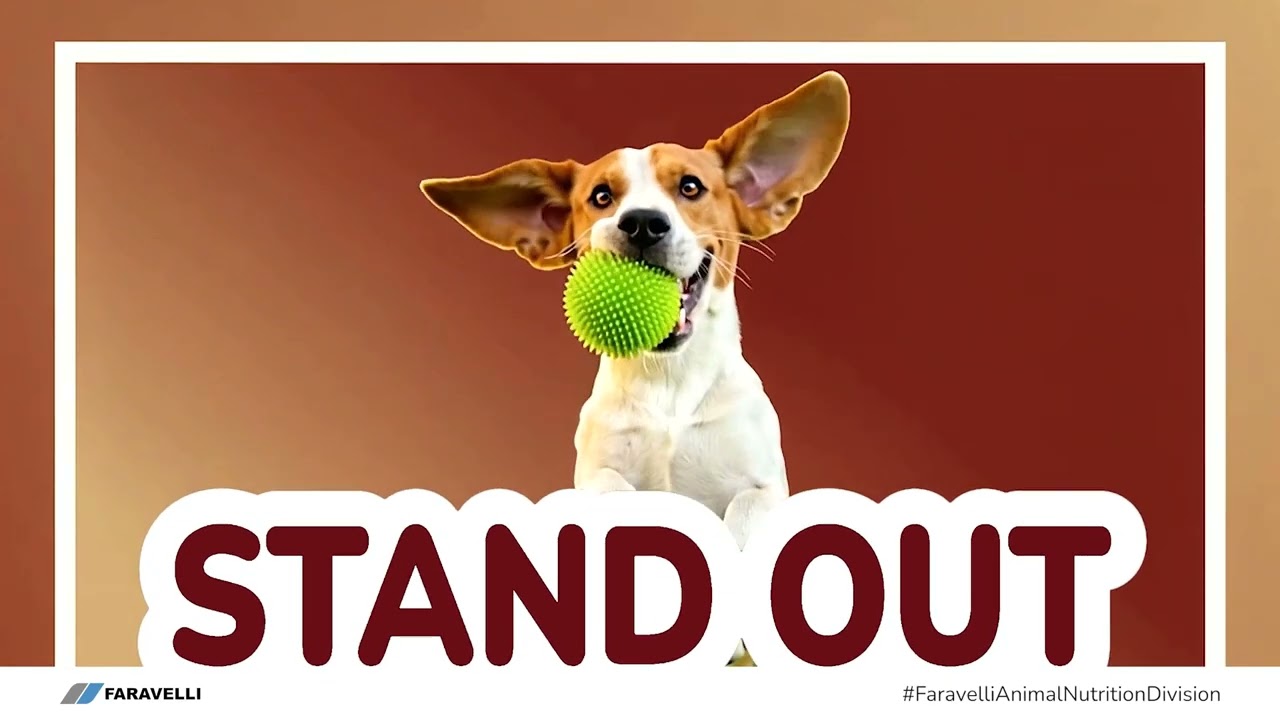 Stand Out with the Right Ingredients - Faravelli Animal Nutrition Division