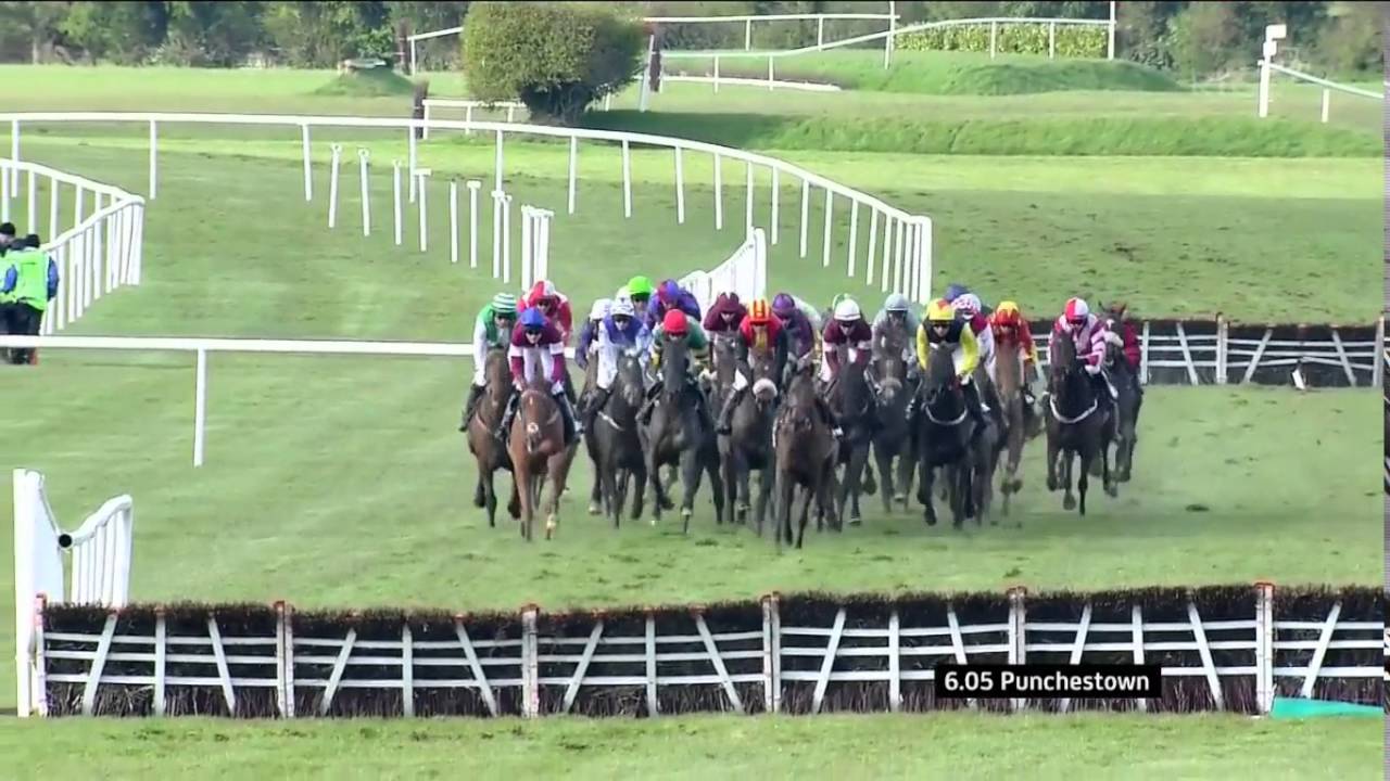Cup Final- 2016 Punchestown Festival Murray Spelman Handicap Hurdle