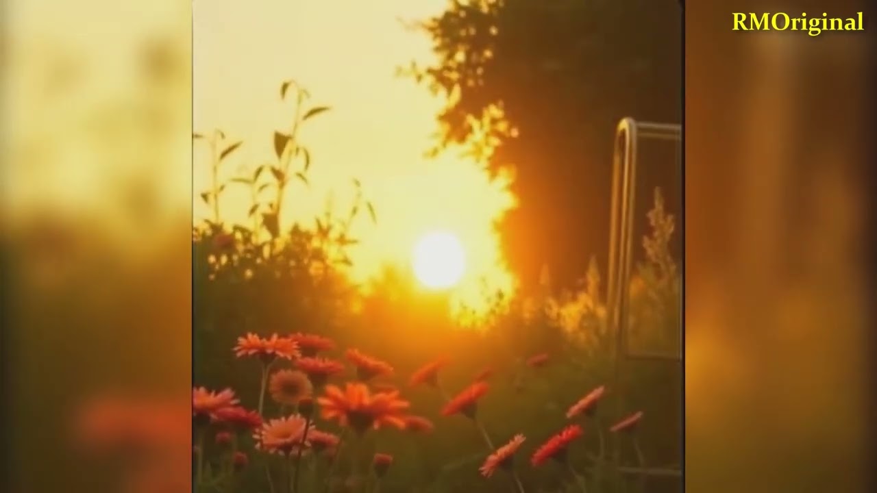 Valira Moon - La mulți ani, iubirea mea