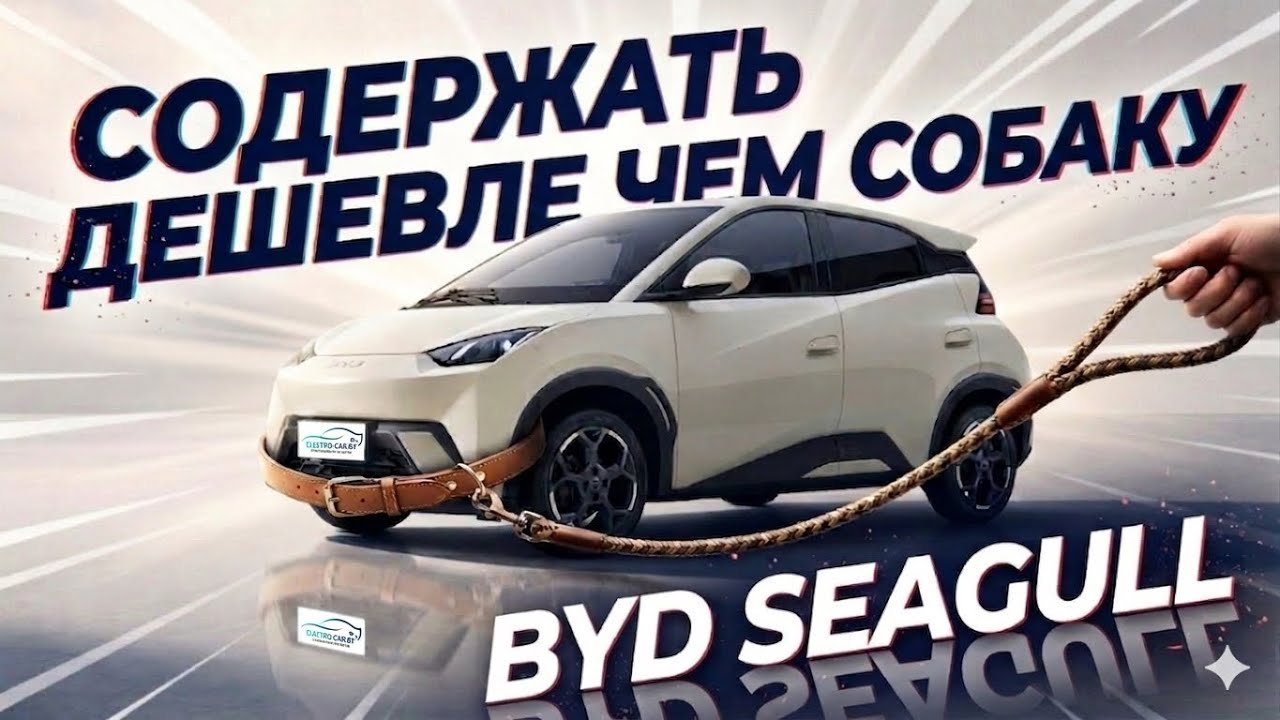 BYD Seagull 🔥Больше 1 000 000 людей уже его выбрали! Доступный электрокар. Самый продаваемый хетчбэк