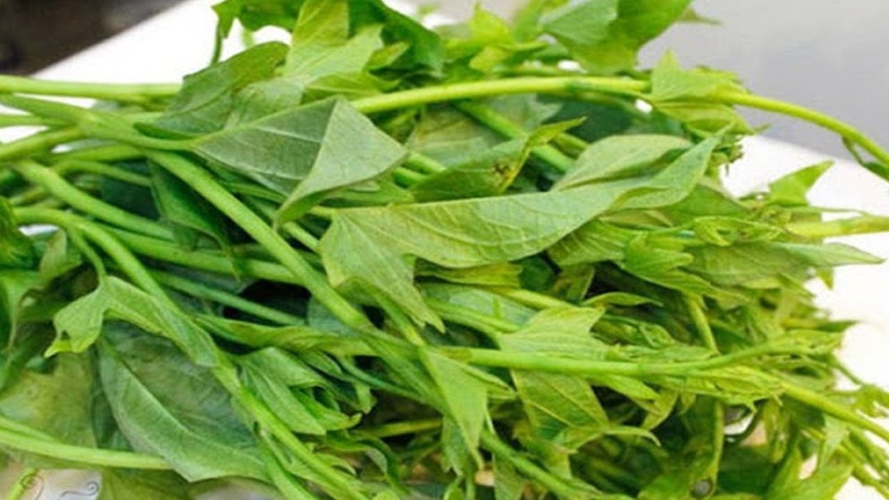 Magical Health Benefits Of Sweet Potato Leaves