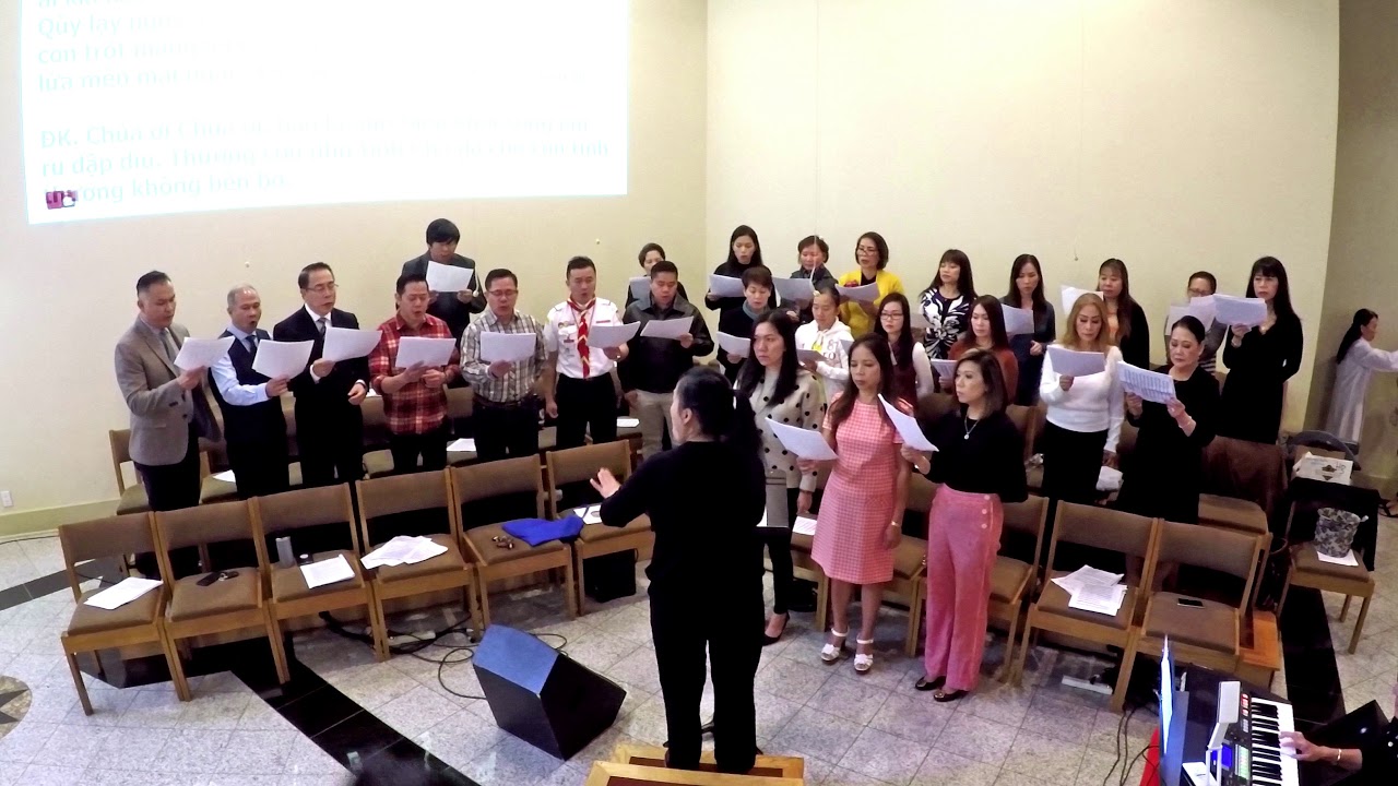 VMP ICC - T&igrave;nh Ng&agrave;i