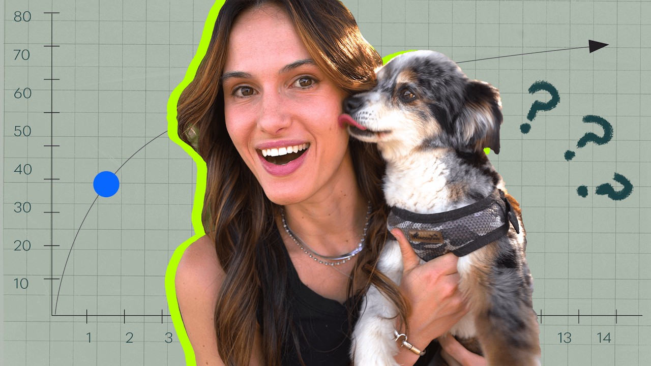 Can My Dog Live 80 Years?