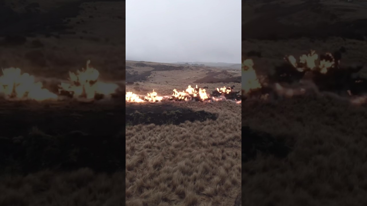 New Zealand Army: Explosive Obstacle Clearing