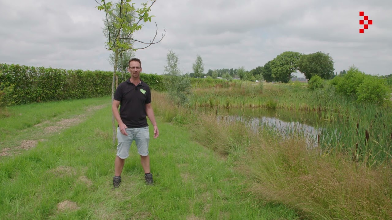 Agrifoodpluim Van der Avoird Trayplant