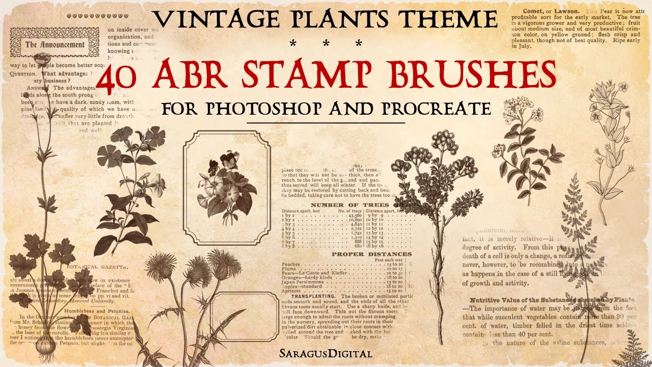Vintage Botanical Stamps Brushes for Photoshop & Procreate, 40 Retro Plant Science Illustrations
