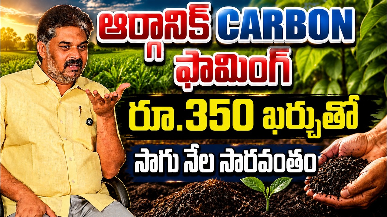 బేకింగ్ సోడా ఫార్ములా! రైతులకు golden టెక్నిక్ | Organic Farming Secret Formula | bhumiputhra telugu