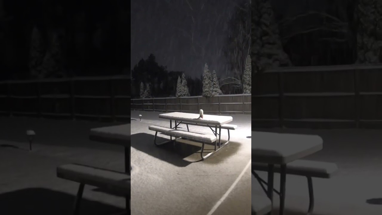 6 hour snow Timelapse in 4 seconds, 5 inch snow in Mississippi, time-lapse, #shorts #winter #reels