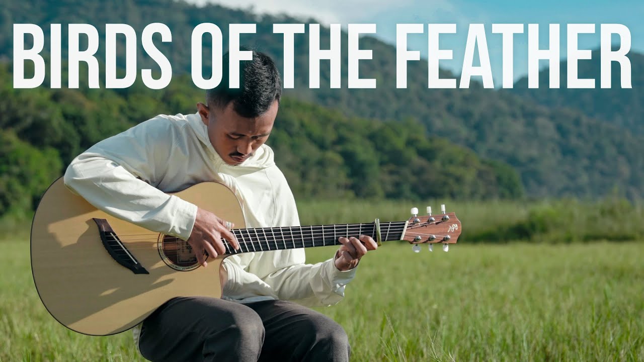 BIRDS OF THE FEATHER - Billie Eilish - Fingerstyle Guitar Cover