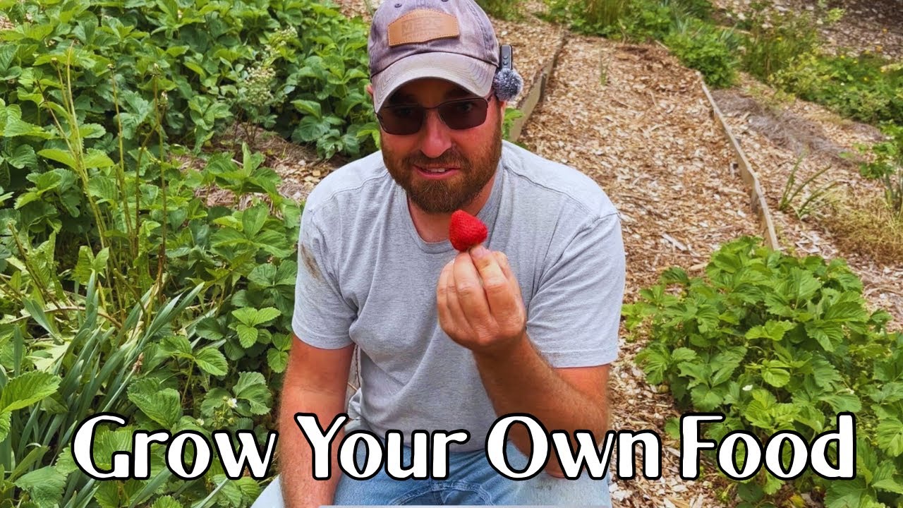 Plant Them Once You’ll Have Them Forever | Garden Update | May 14, 2025