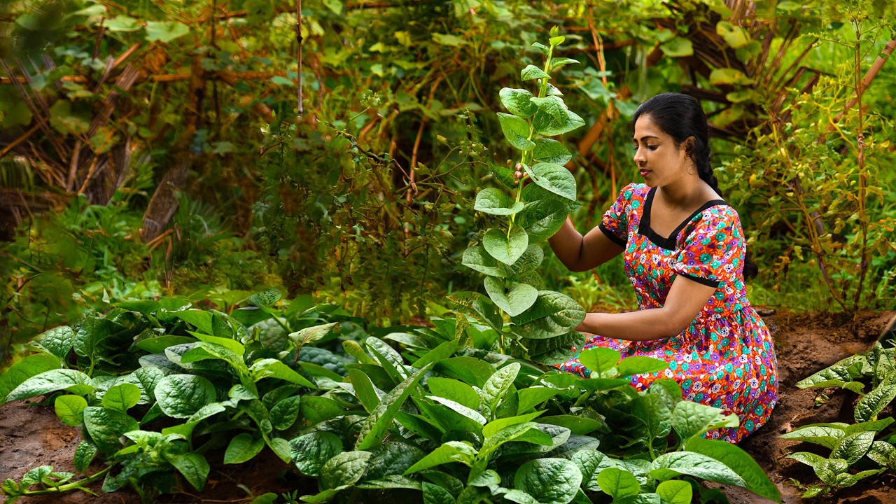 Giant Spinach harvest to sweet & spicy Tea time snacks | ASMR Cooking Journey | Traditional Me
