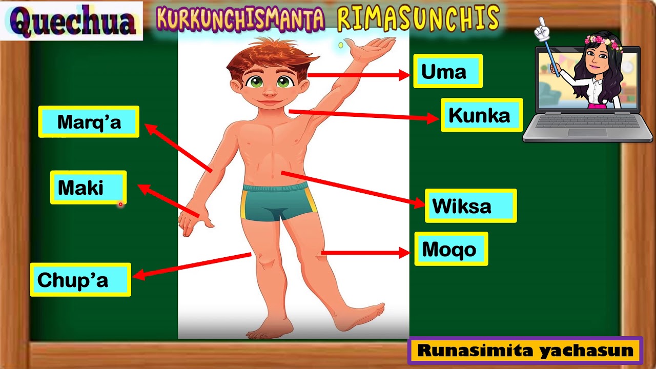 partes del cuerpo en quechua.