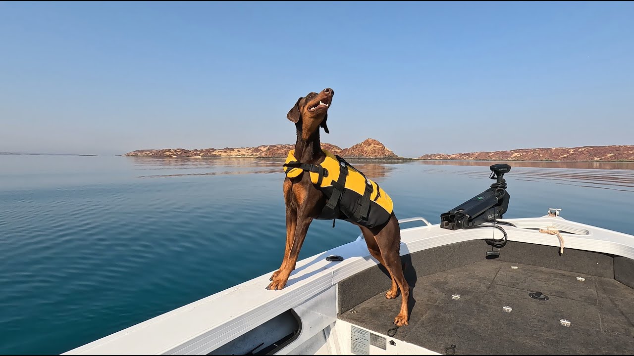 Flying Foam Passage | Dampier Fishing | Dobermans Onboard