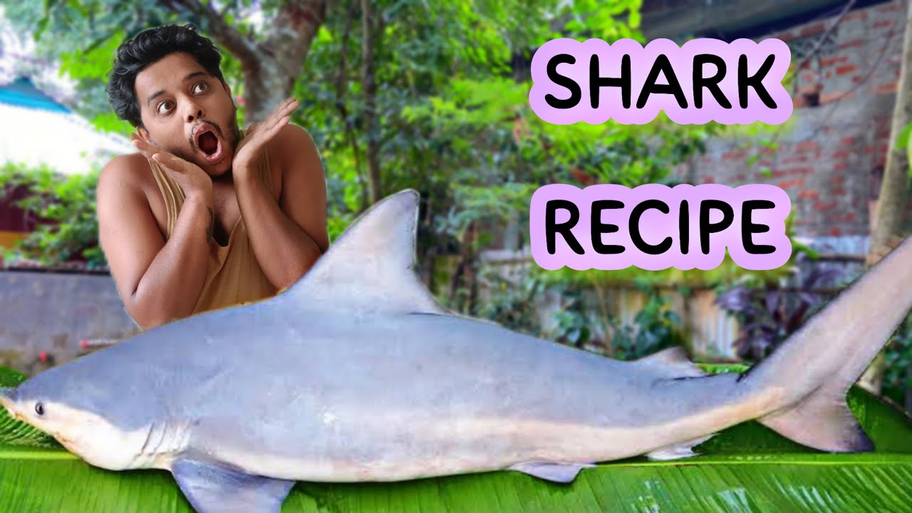 জীবনে প‍্রথম শার্ক মাছ রান্না করলাম 😋shark fish recipe
