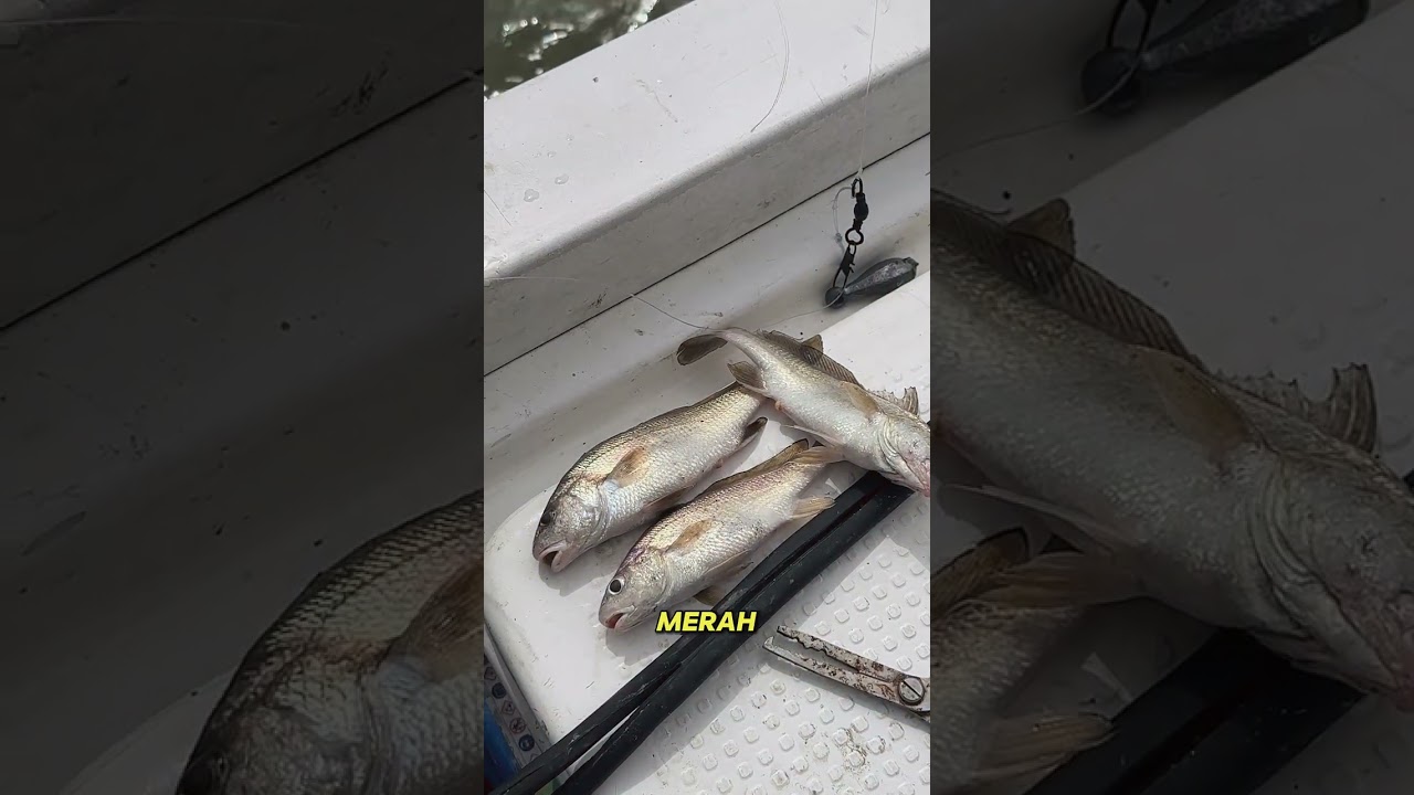 Mencari Strike di muara sungai