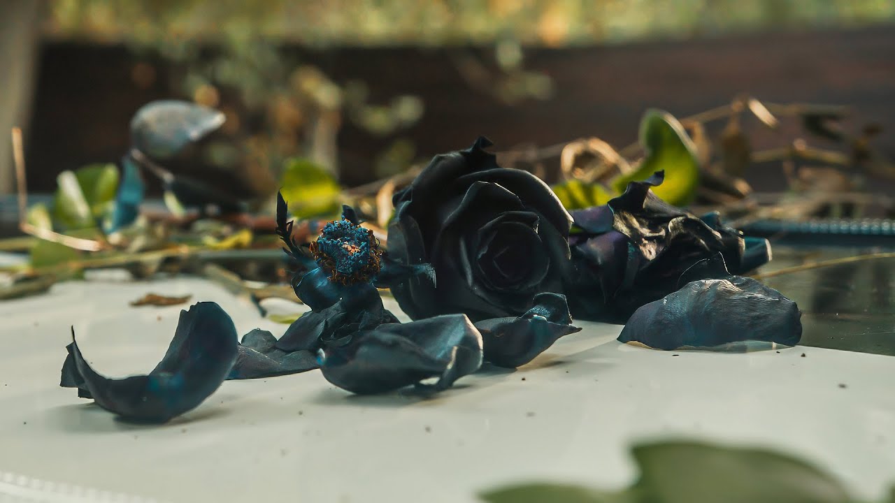 Remember Death
