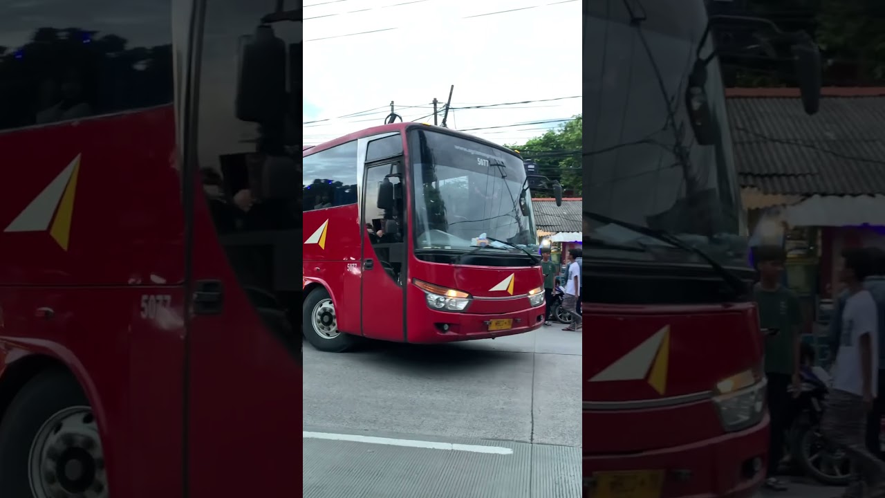 Bus Legend Agramas #bus #agramas #busmania #reels #short #fyp