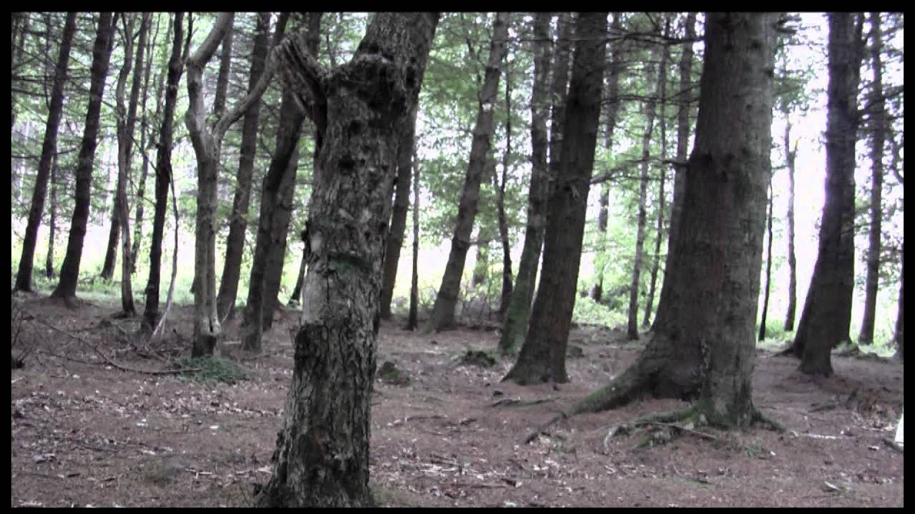 Cronin - In Loneliness Lives Love