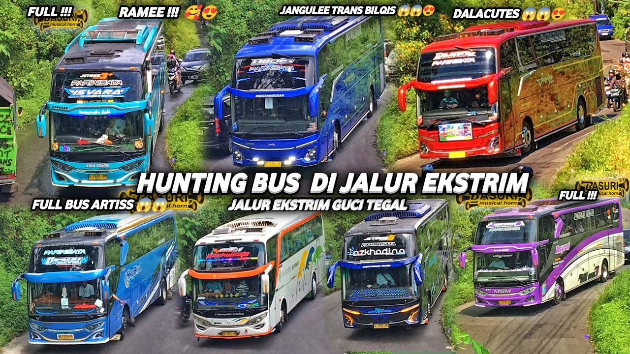 FULL TELOLET BASURI !! HUNTING BUS DI JALUR EKSTRIM GUCI TEGAL | FULL BUS ARTIS