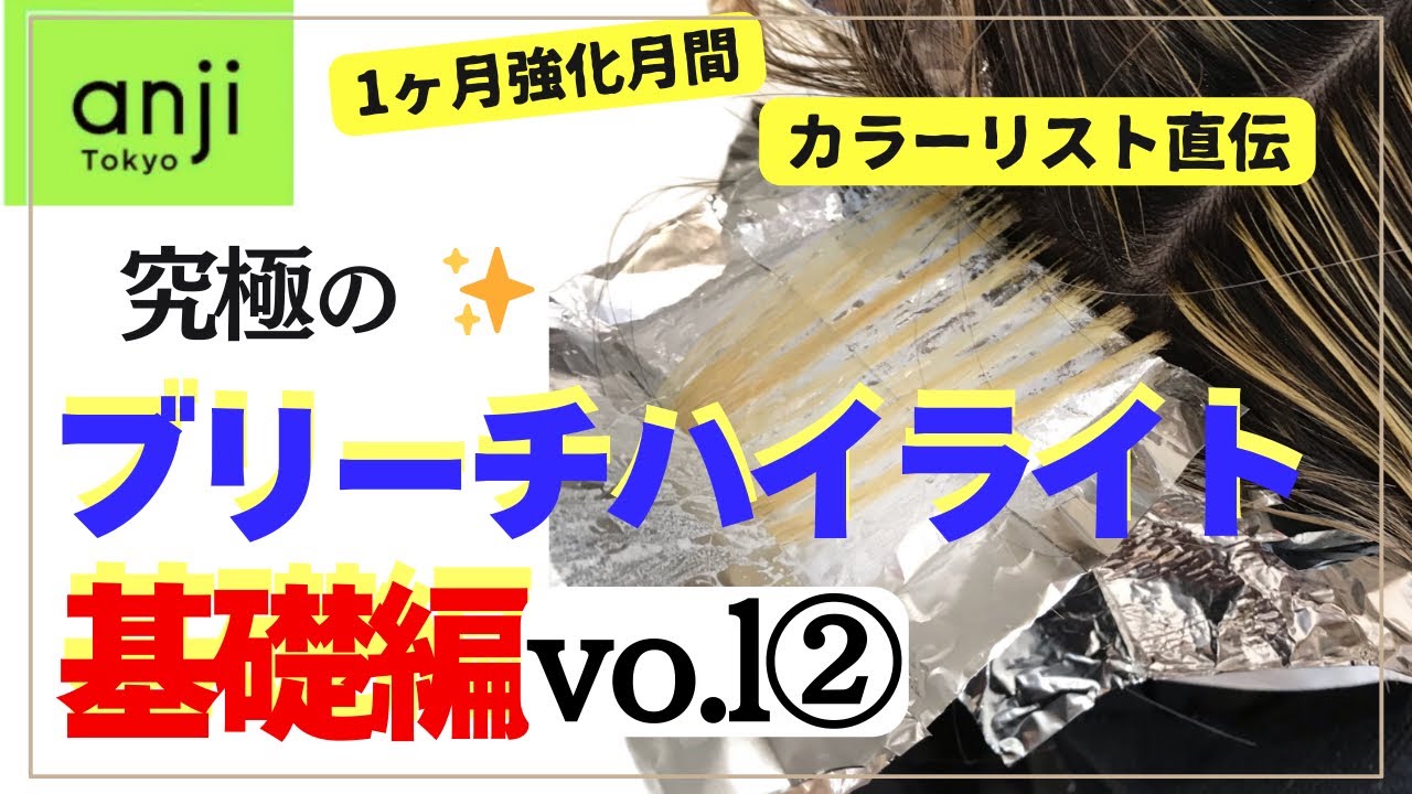 【基礎vol.2】ハイライトのリタッチが上手くなる為の展開図セクショニング。これからホイルワークを始めたいと思っている方は必見です✨〈ブリーチハイライト〉〈白髪ぼかしハイライト〉
