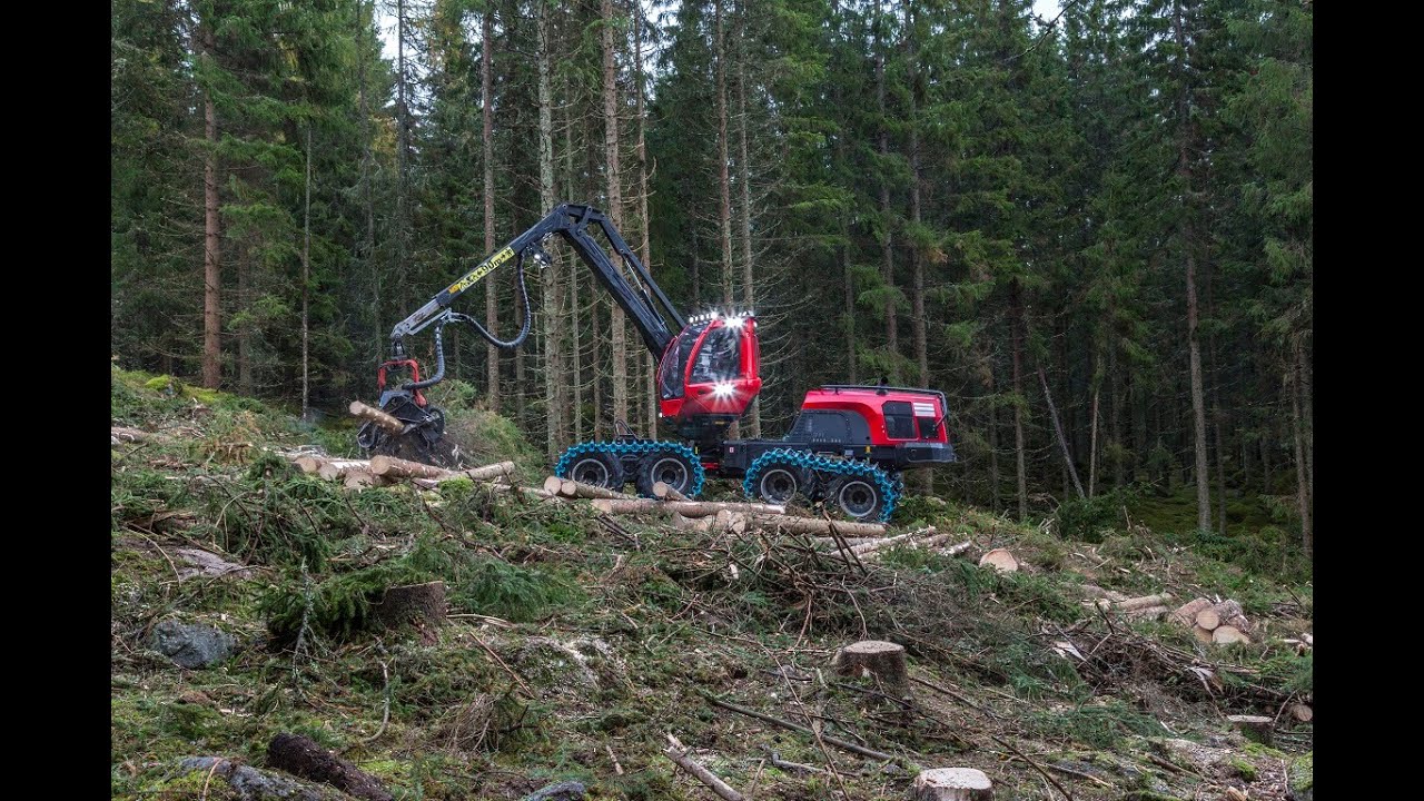 Cutting Spruce and Pine with Komatsu931xc