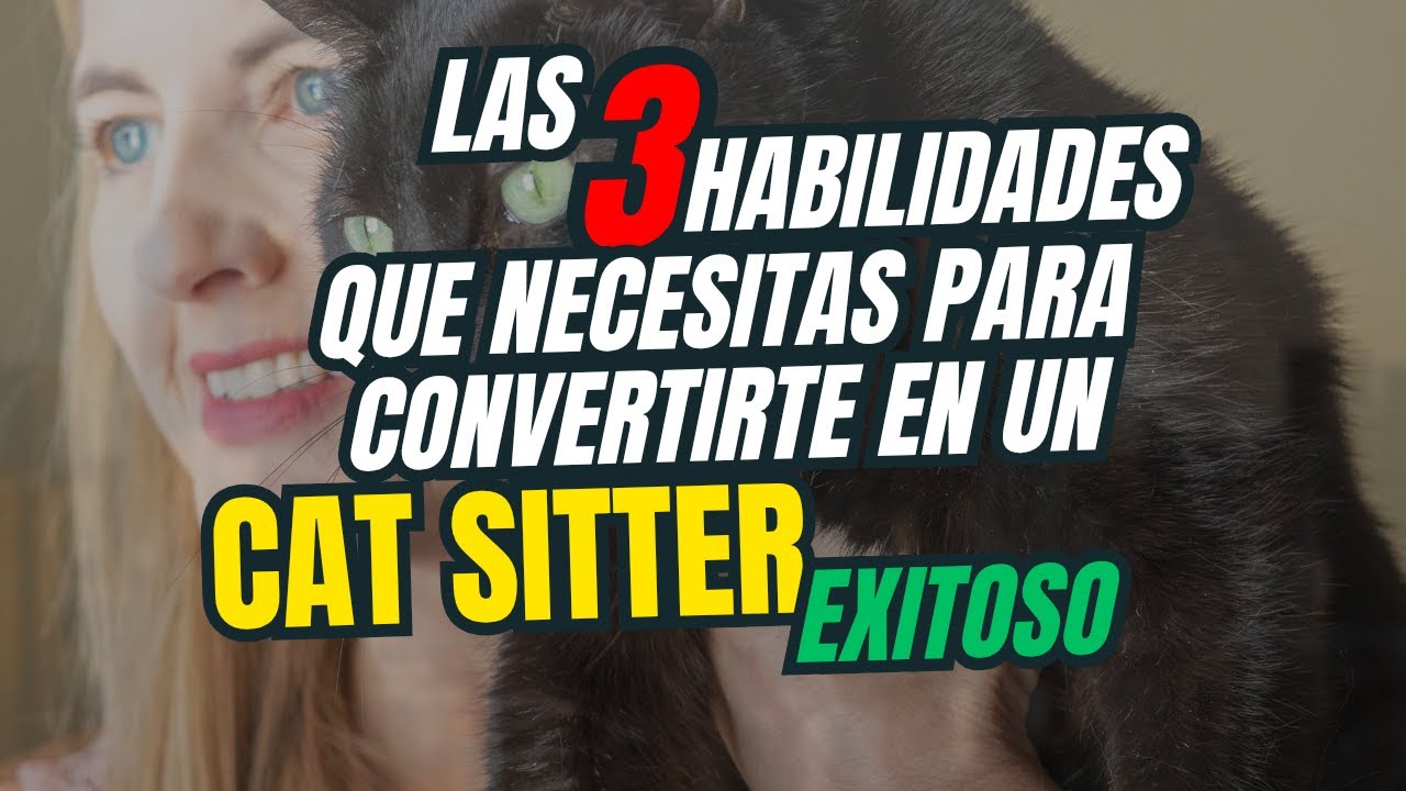Las 3 habilidades que necesitas para convertirte en un Cat Sitter exitoso.