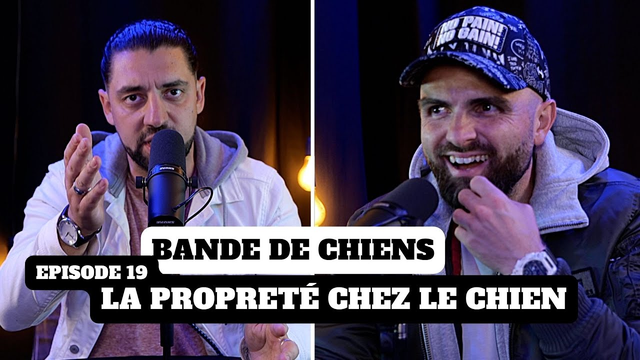 La PROPRETÉ chez le chiot - BANDE DE CHIENS Ep19