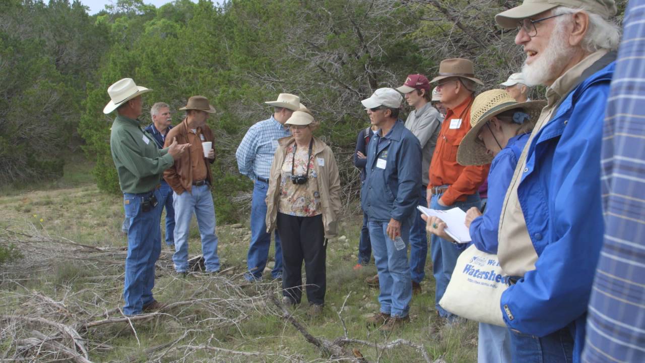 Hill Country Land Trust - Managing Cedar (Ashe Juniper)