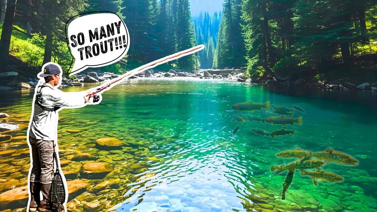 This River Was LOADED With Native Trout!!!